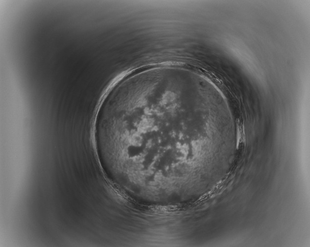X0000115550147200911061540