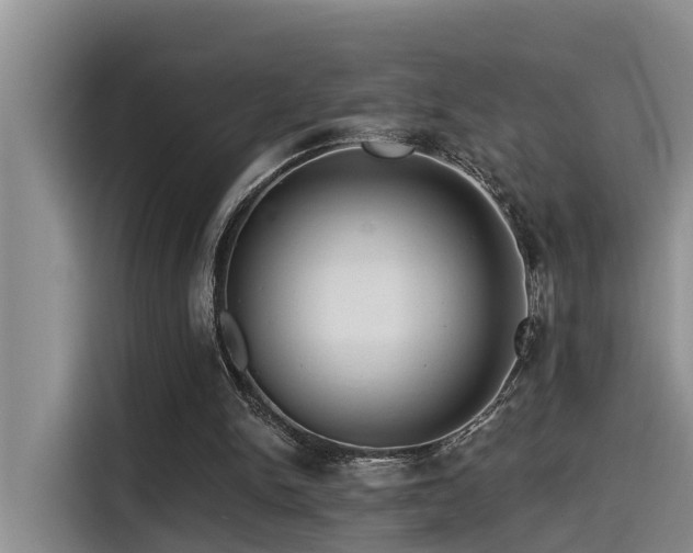 X0000115550150200911061540