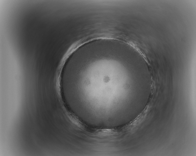 X0000115550151200911061540