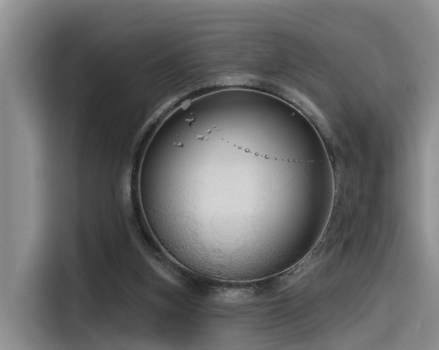 X0000115550155200911061540