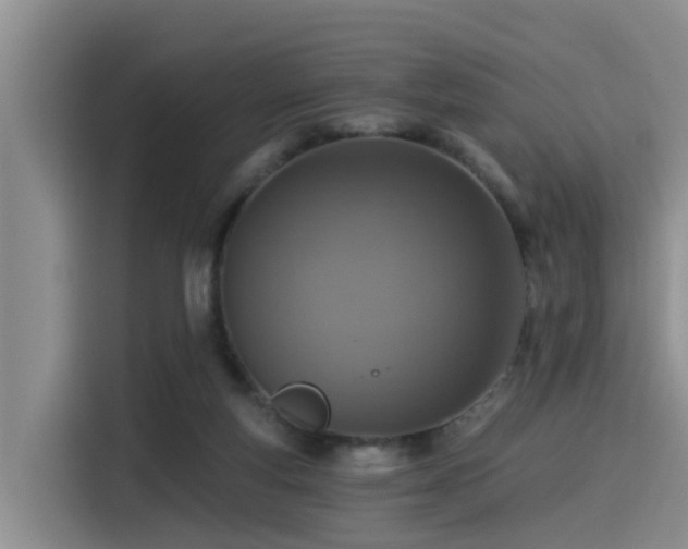 X0000115550163200911061540