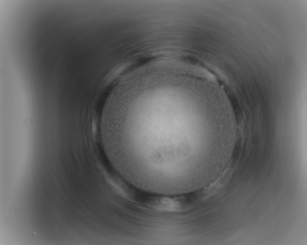 X0000115550166200911061540