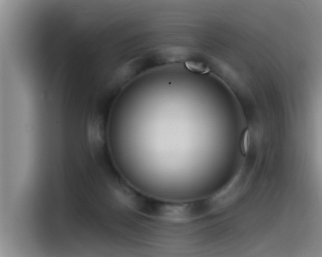 X0000115550170200911061540