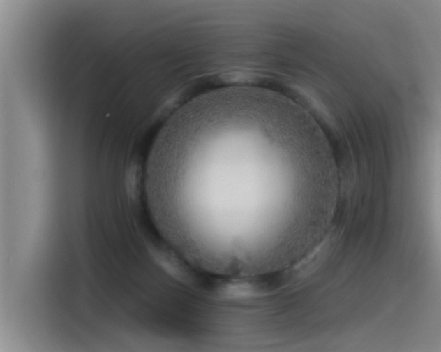 X0000115550171200911061540
