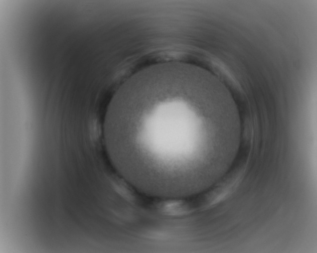 X0000115550173200911061540
