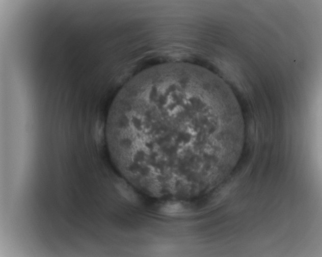X0000115550177200911061540