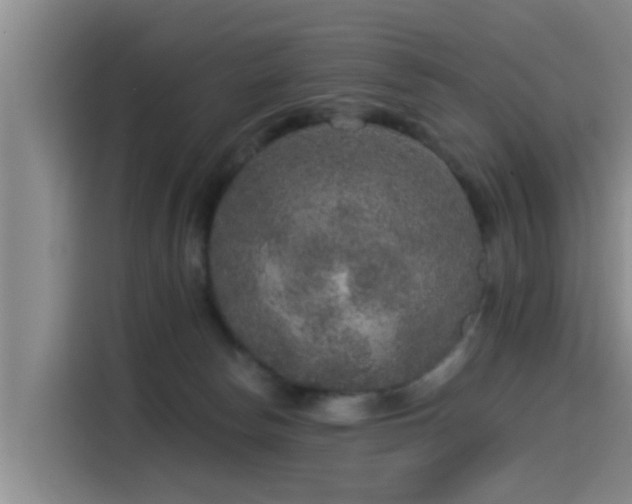 X0000115550178200911061540