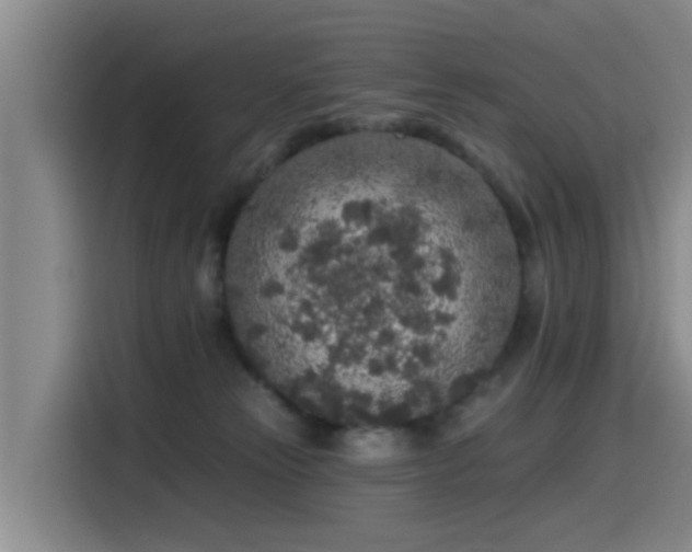 X0000115550181200911061540