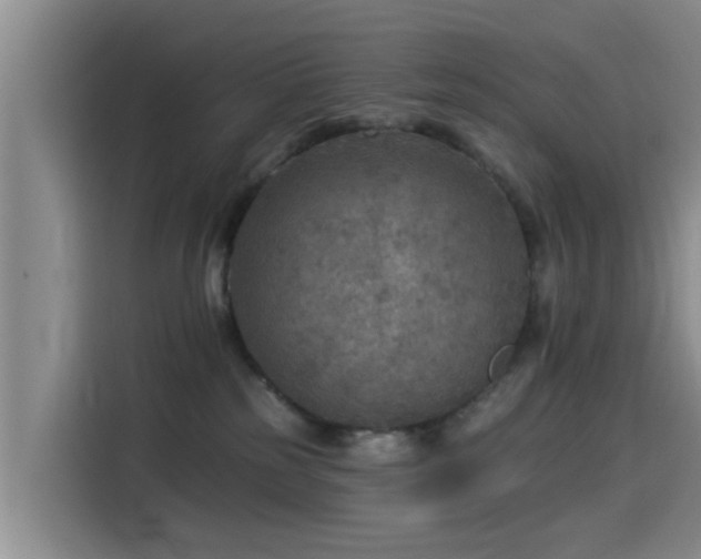 X0000115550185200911061540
