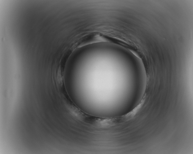 X0000115550186200911061540