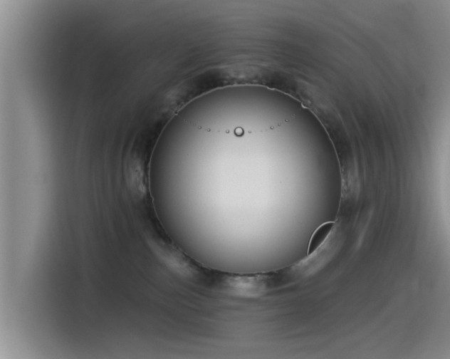 X0000115550187200911061540
