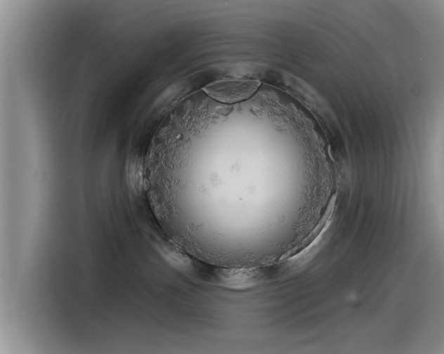 X0000115550191200911061540