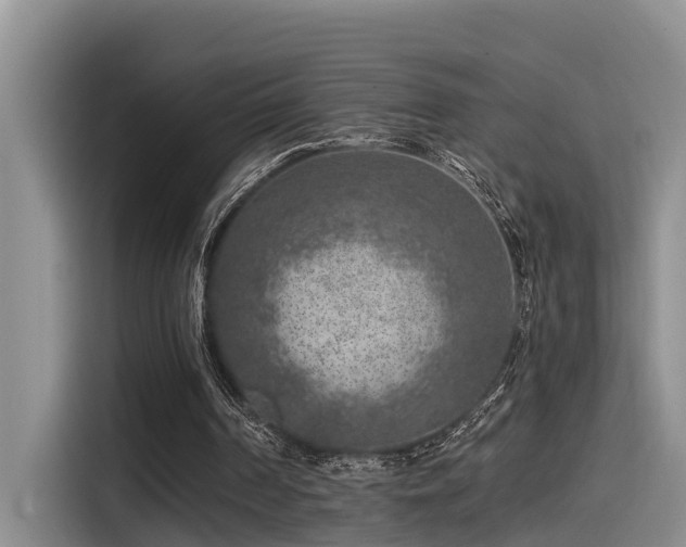X0000115550194200911061540