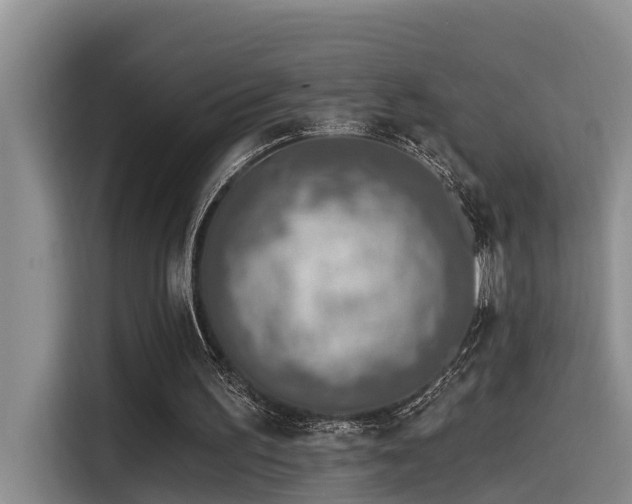 X0000115550195200911061540