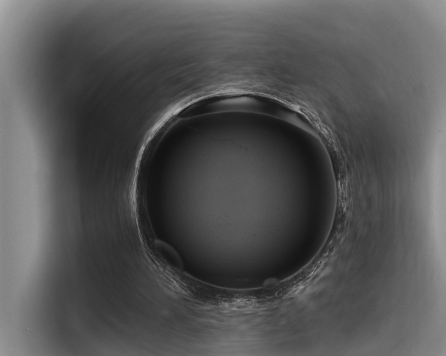 X0000115550196200911061540