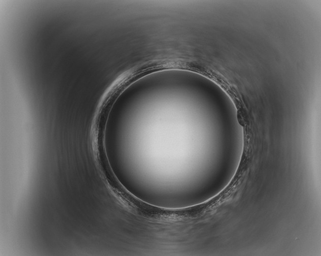 X0000115550197200911061540