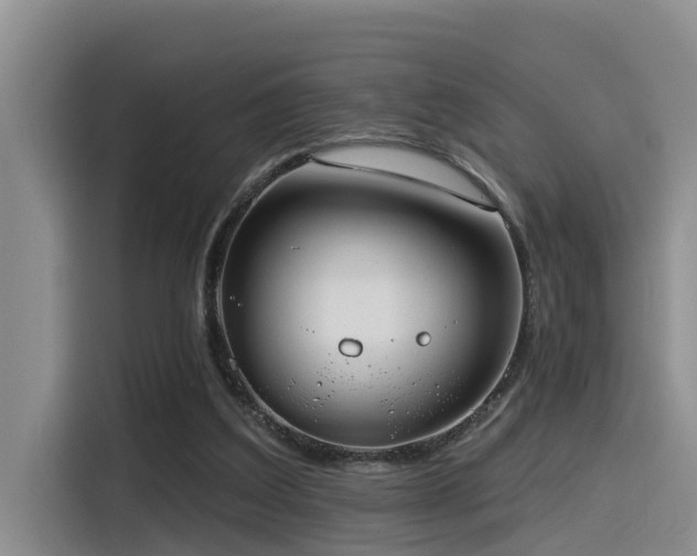 X0000115550203200911061540
