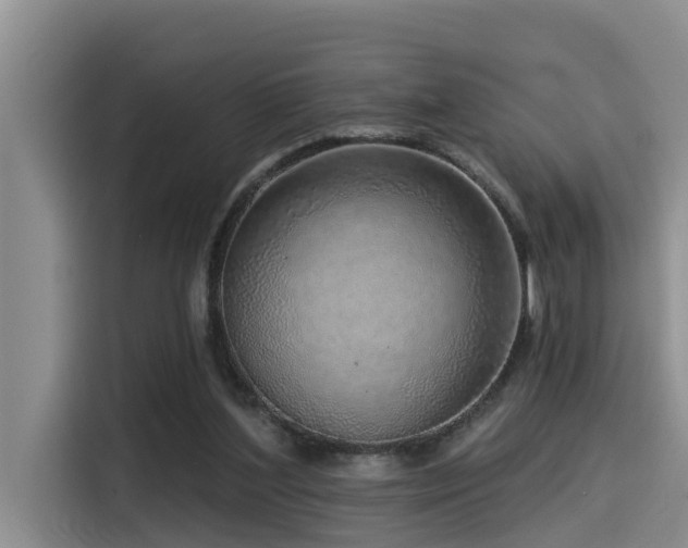 X0000115550204200911061540