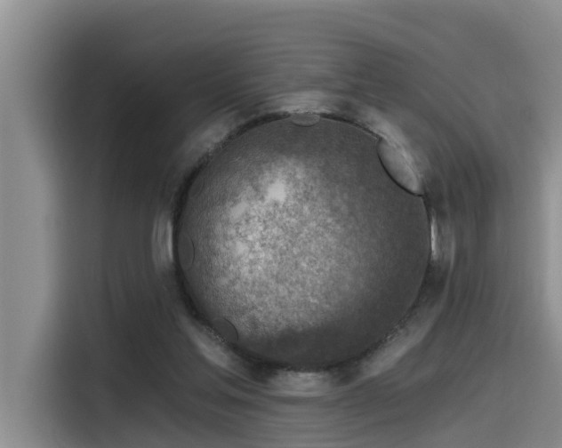 X0000115550205200911061540
