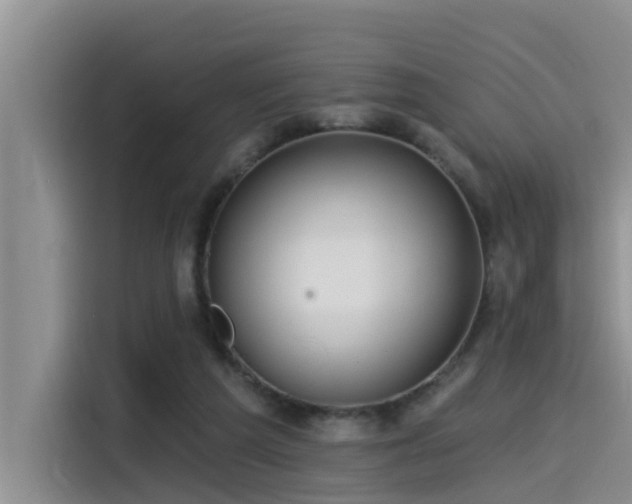 X0000115550209200911061540