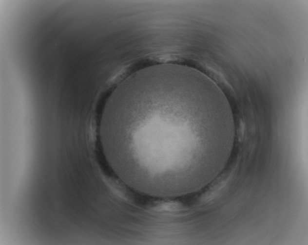 X0000115550210200911061540