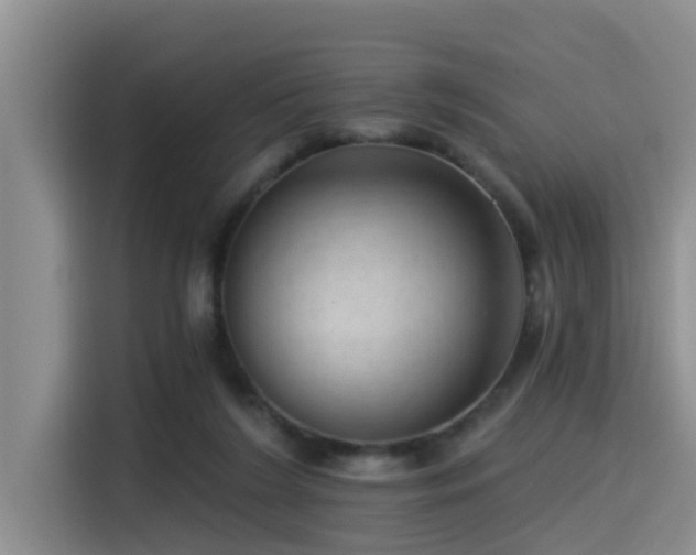 X0000115550212200911061540