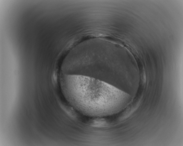 X0000115550214200911061539