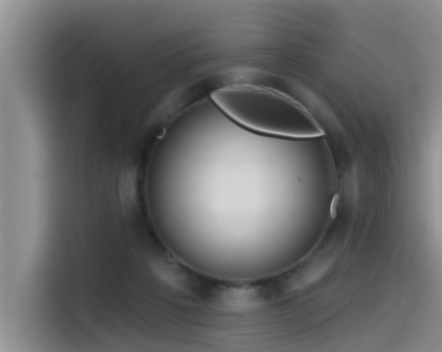 X0000115550217200911061539