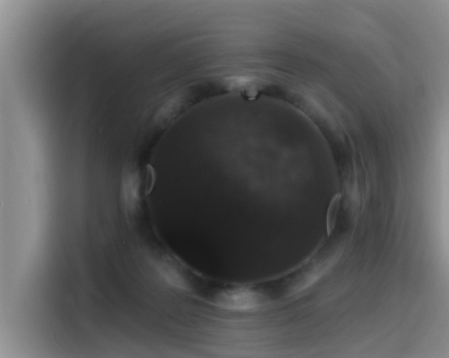 X0000115550219200911061539