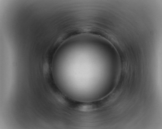 X0000115550220200911061539