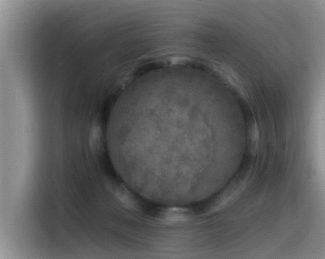 X0000115550222200911061539