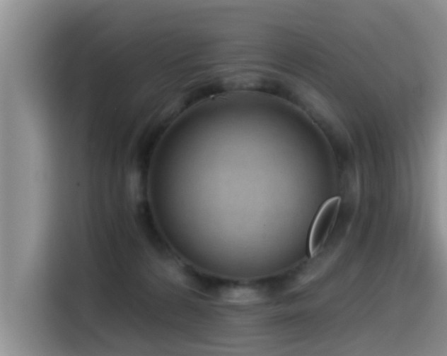 X0000115550224200911061539
