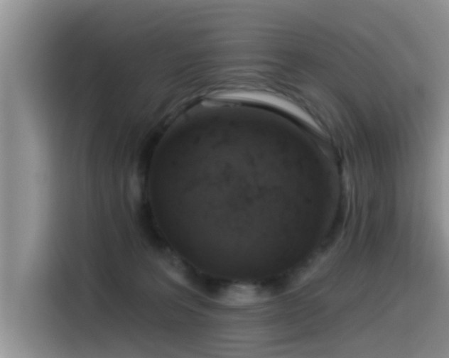 X0000115550227200911061539