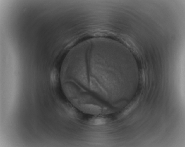 X0000115550228200911061539