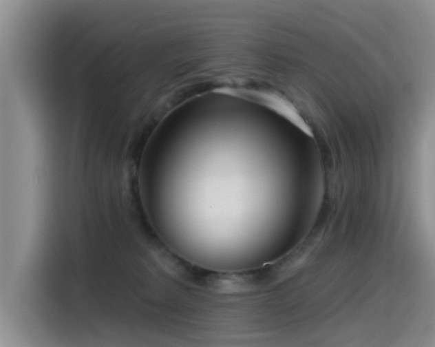 X0000115550229200911061539