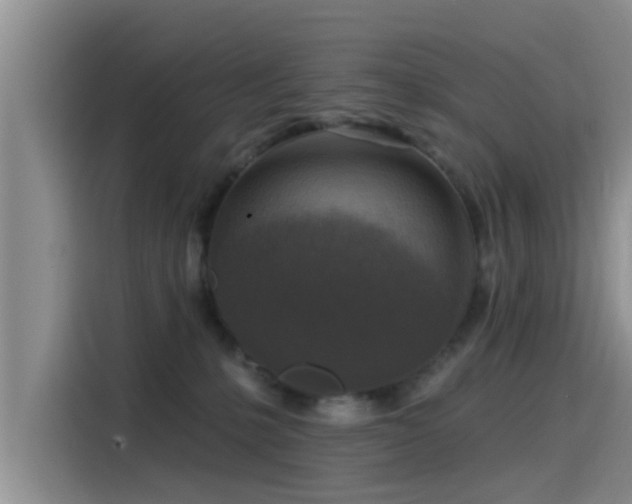 X0000115550231200911061539