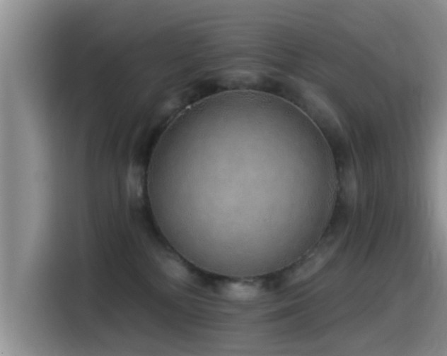 X0000115550232200911061539