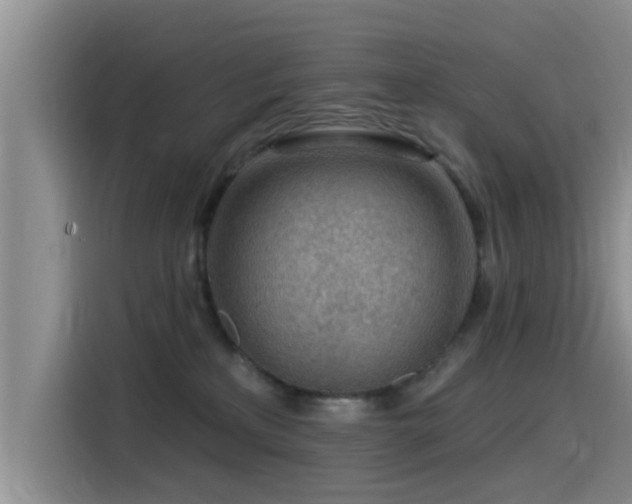 X0000115550233200911061539