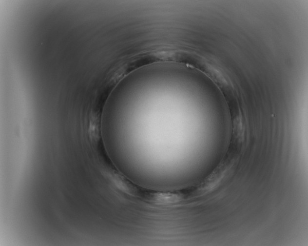 X0000115550234200911061539