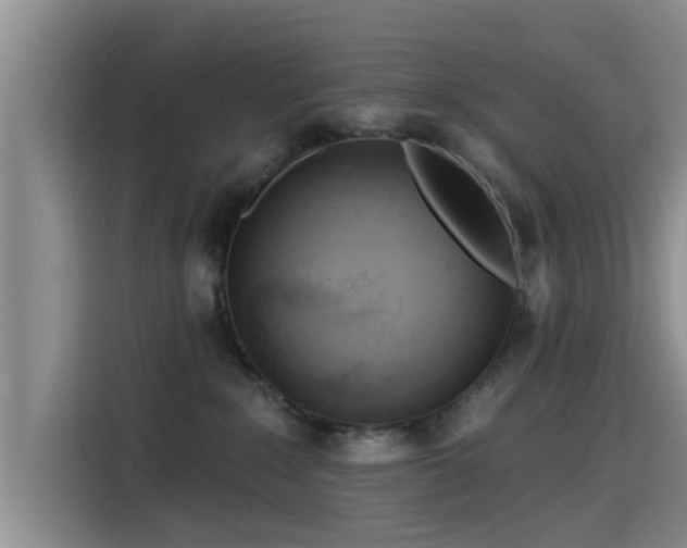 X0000115550235200911061539