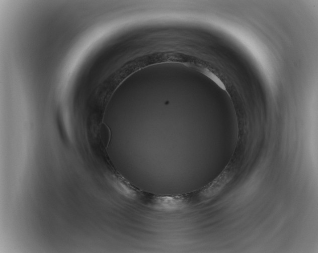 X0000115550239200911061539