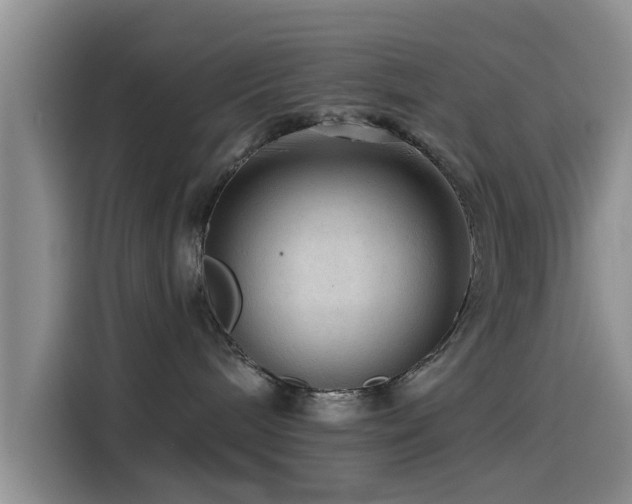 X0000115550240200911061539