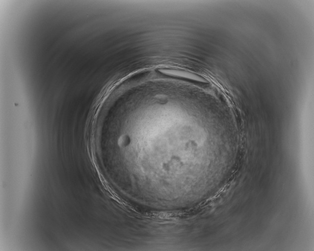 X0000115550241200911061538