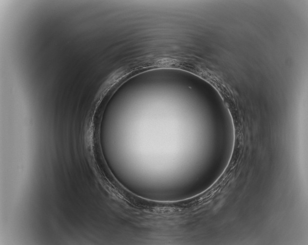 X0000115550242200911061538