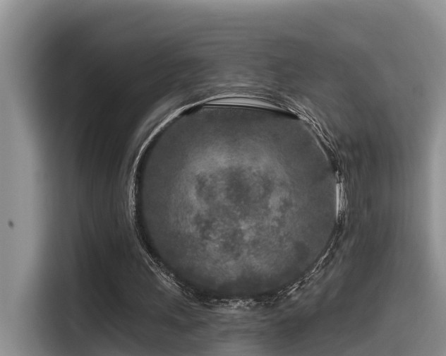 X0000115550243200911061538