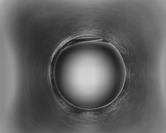 X0000115550244200911061538