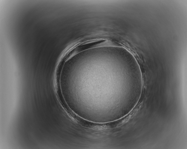 X0000115550245200911061538