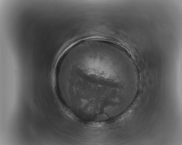 X0000115550247200911061538