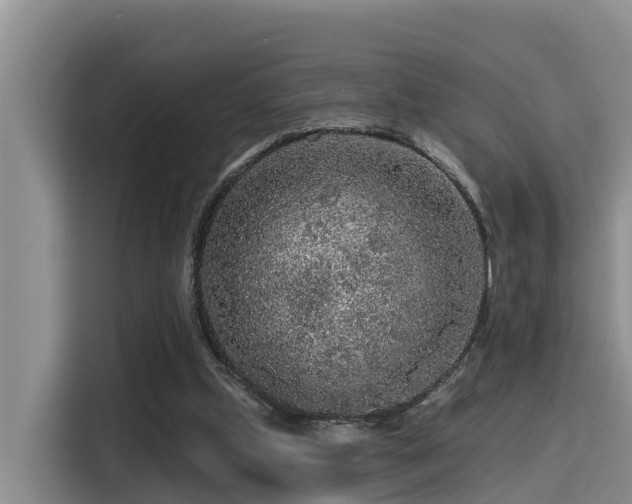 X0000115550249200911061538