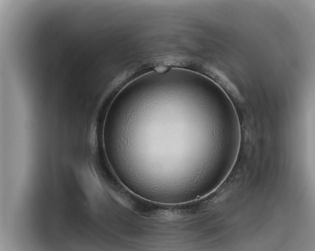 X0000115550250200911061538